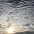 Alba Jannet Martinez Aparicio's profile image
