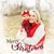 Tammy Ott's profile image