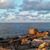 Debra Campbell's profile image