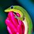 Susan W. Hynes's profile image