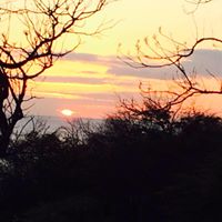 Mark Collins's profile image