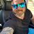 Danny Lee Roseberry's profile image