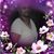 Alfreda Lynette Scroggins's profile image