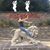 Michelle Organ-Grinder Dorbin's profile image