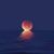 Lisa Spangler's profile image