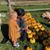 Christine Dunnet Jovanovic's profile image
