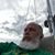 Russell Hooker's profile image