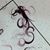 Cindy Milot's profile image