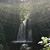 Kathy Gaus Matti's profile image