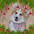Shelley Malone's profile image