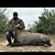 Javi Solis's profile image
