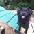 Lynn Harris Medcalf's profile image