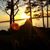 Christine McDonald's profile image