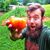 Aaron Byerly's profile image