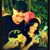 Scott McDaniel's profile image