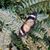 Kristy Dawn Halley's profile image