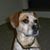 Amanda Rainsberger Ewing's profile image