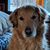 Peter Yaeger's profile image