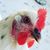 Rachel Gibson's profile image
