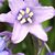 Anna Heflin's profile image
