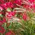 Beth Spreitzer's profile image