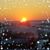 Jeanne Lynn Shadden's profile image