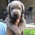 Ellyn Jane's profile image