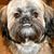 Alan Soard's profile image