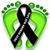 Amanda H Concilio Leonard's profile image