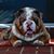 Rhonda Vickery's profile image
