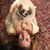 Oriana Kateri's profile image