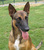 Sara A.'s profile image