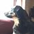 Sandy Baird's profile image