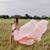 Melissa Delgado Hall's profile image
