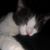 Kaaren LeBeck Gant's profile image