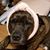 Vicki Sarro Corpian's profile image