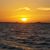 Basma Ziyad's profile image