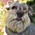 Geri Chaney's profile image