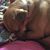 Tina Ensminger's profile image