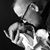 Coby Kindall's profile image