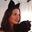 Kelly Egan's profile image