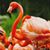 Candace S. Alexandra's profile image