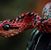 Belinda Hall's profile image