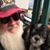 Frank Sunseri's profile image