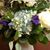 Lori Baird Cook's profile image