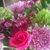 Amira Chehab's profile image