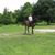 Debbie Kelly's profile image