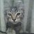 Kathy Hathaway's profile image