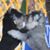 Judy Emerson Caldwell's profile image