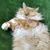 Robyn Beagle's profile image